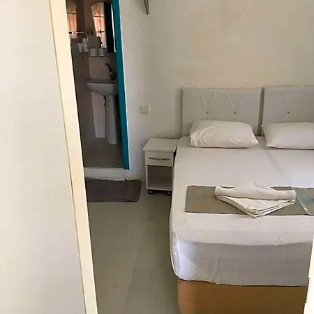 نيسا *